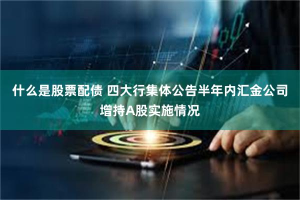 什么是股票配债 四大行集体公告半年内汇金公司增持A股实施情况