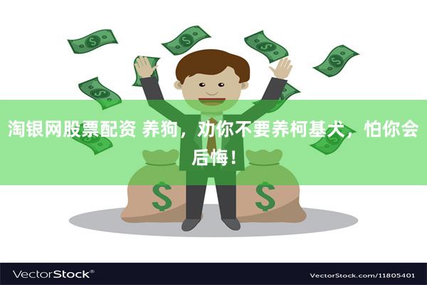 淘银网股票配资 养狗，劝你不要养柯基犬，怕你会后悔！