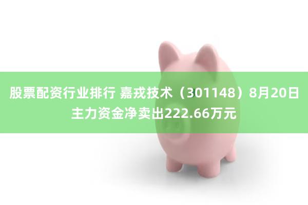 股票配资行业排行 嘉戎技术（301148）8月20日主力资金净卖出222.66万元