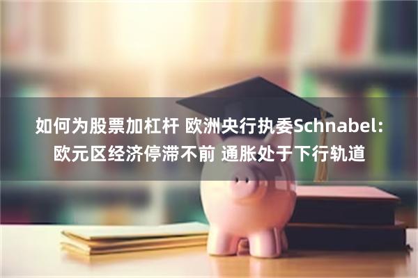 如何为股票加杠杆 欧洲央行执委Schnabel：欧元区经济停滞不前 通胀处于下行轨道