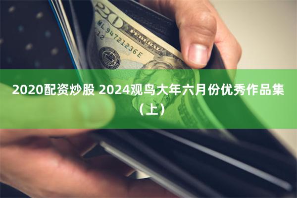 2020配资炒股 2024观鸟大年六月份优秀作品集（上）