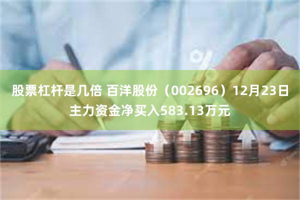 股票杠杆是几倍 百洋股份（002696）12月23日主力资金净买入583.13万元