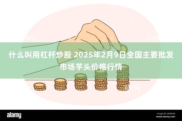 什么叫用杠杆炒股 2025年2月9日全国主要批发市场芋头价格行情