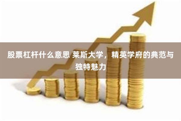 股票杠杆什么意思 莱斯大学，精英学府的典范与独特魅力