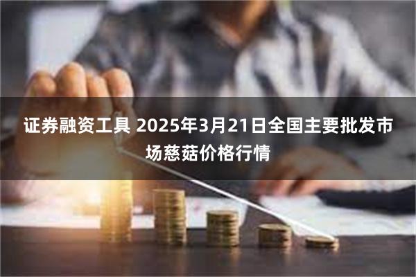 证券融资工具 2025年3月21日全国主要批发市场慈菇价格行情